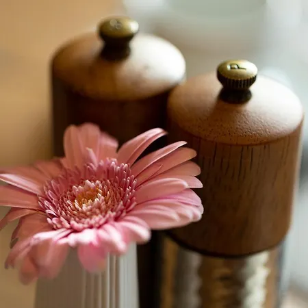 Apart-pension Bergland ラディス