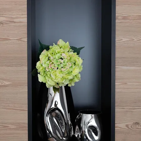 Apart-pension Bergland 3* ラディス