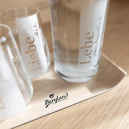 ゲストハウス Apart-pension Bergland ラディス